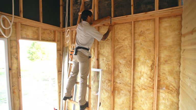 Best Reflective Insulation  in Alamo, GA