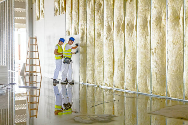 Eco-Friendly or Green Insulation Solutions in Alamo, GA